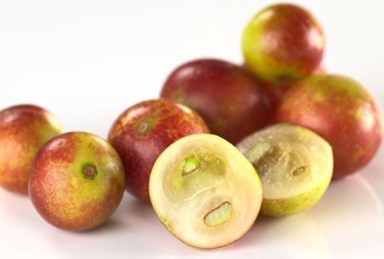 Le camu camu bio un des fruit les plus antioxydant du monde